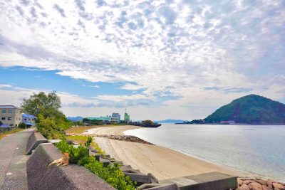 松山市で田舎暮らし？静かな海のそばで暮らす「北条」 | 地域のトピックス