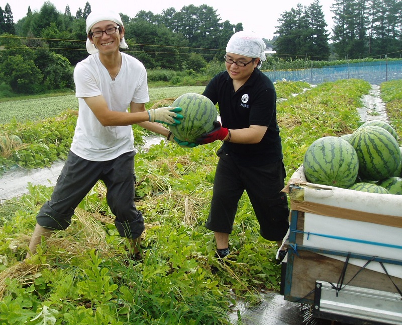 ～尾花沢市での新規就農を目指して～　第３回スイカづくり体験会 | 移住関連イベント情報