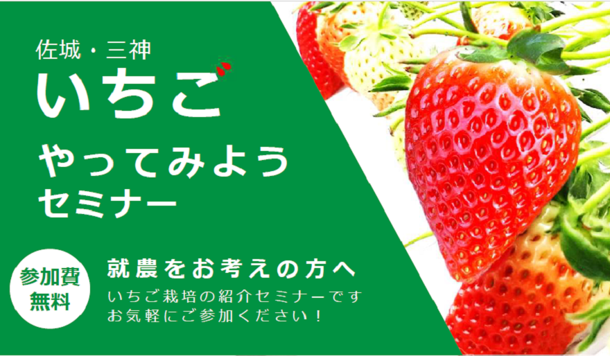 【佐賀県】佐城・三神 いちごやってみようセミナー | 移住関連イベント情報