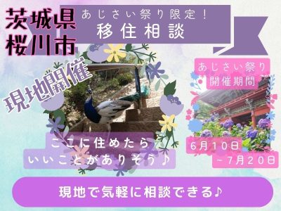 【桜川市】雨引観音「あじさい祭り」限定・移住相談カウンター | 地域のトピックス