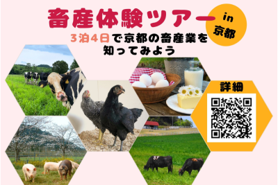 畜産体験ツアー～３泊４日で京都の畜産業を知ってみよう～① | 移住関連イベント情報