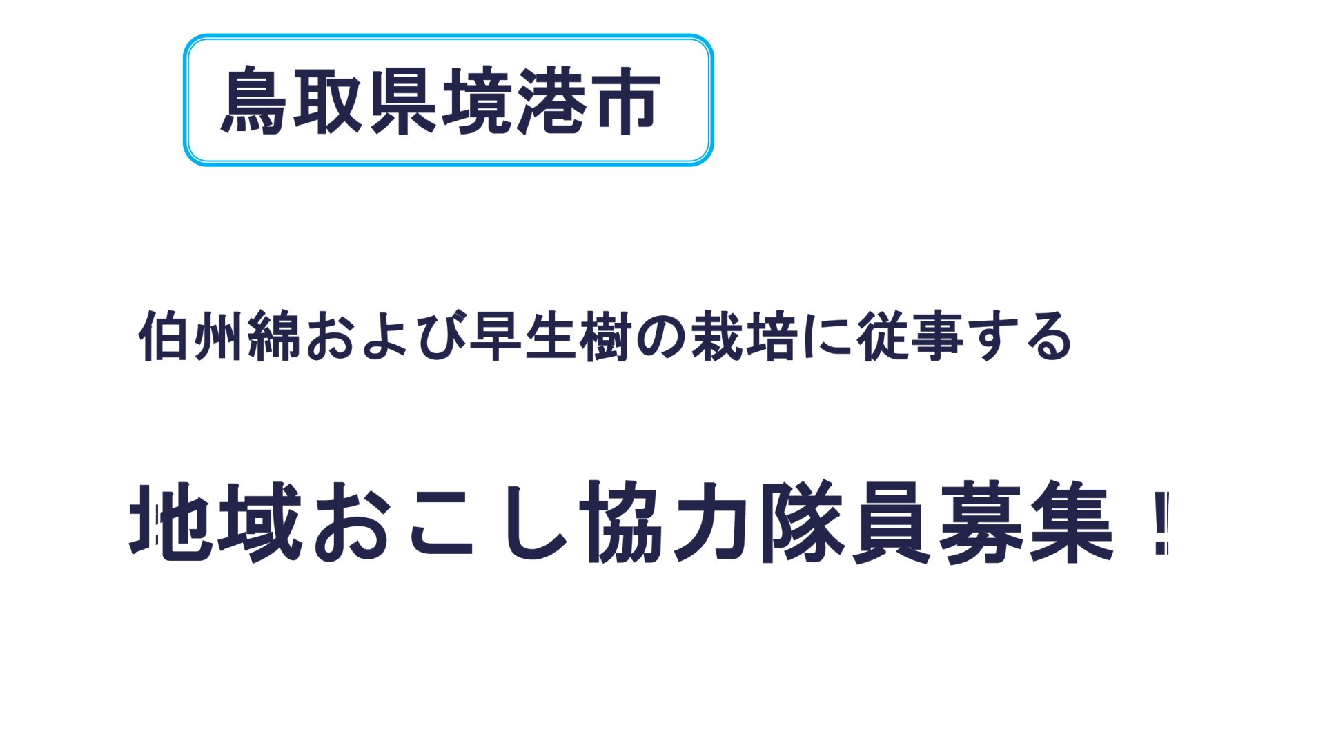 鳥取県境港市で伯州綿と早生樹の栽培を担う地域おこし協力隊員募集 | 地域のトピックス