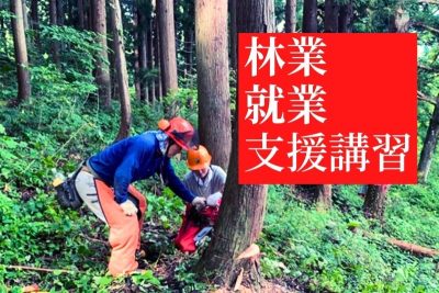 林業就業支援講習 山・森・林・木と共に信州の森林で働こう！ | 移住関連イベント情報