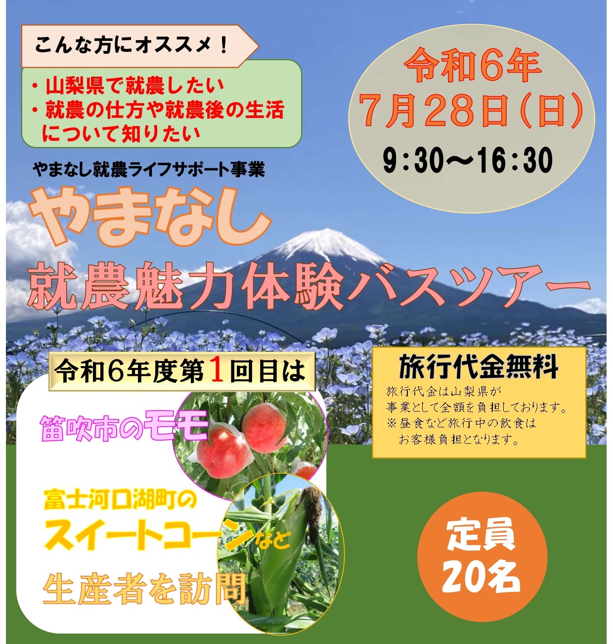 第1回やまなし就農体験ツアー(果樹、野菜) | 移住関連イベント情報