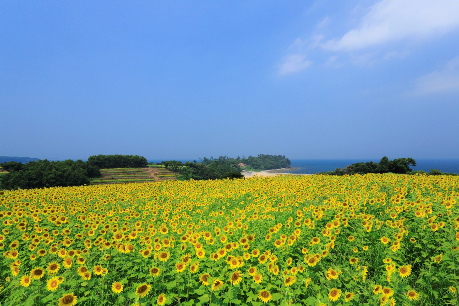 おんせん県おおいた　豊後高田市の移住体験会 | 移住関連イベント情報