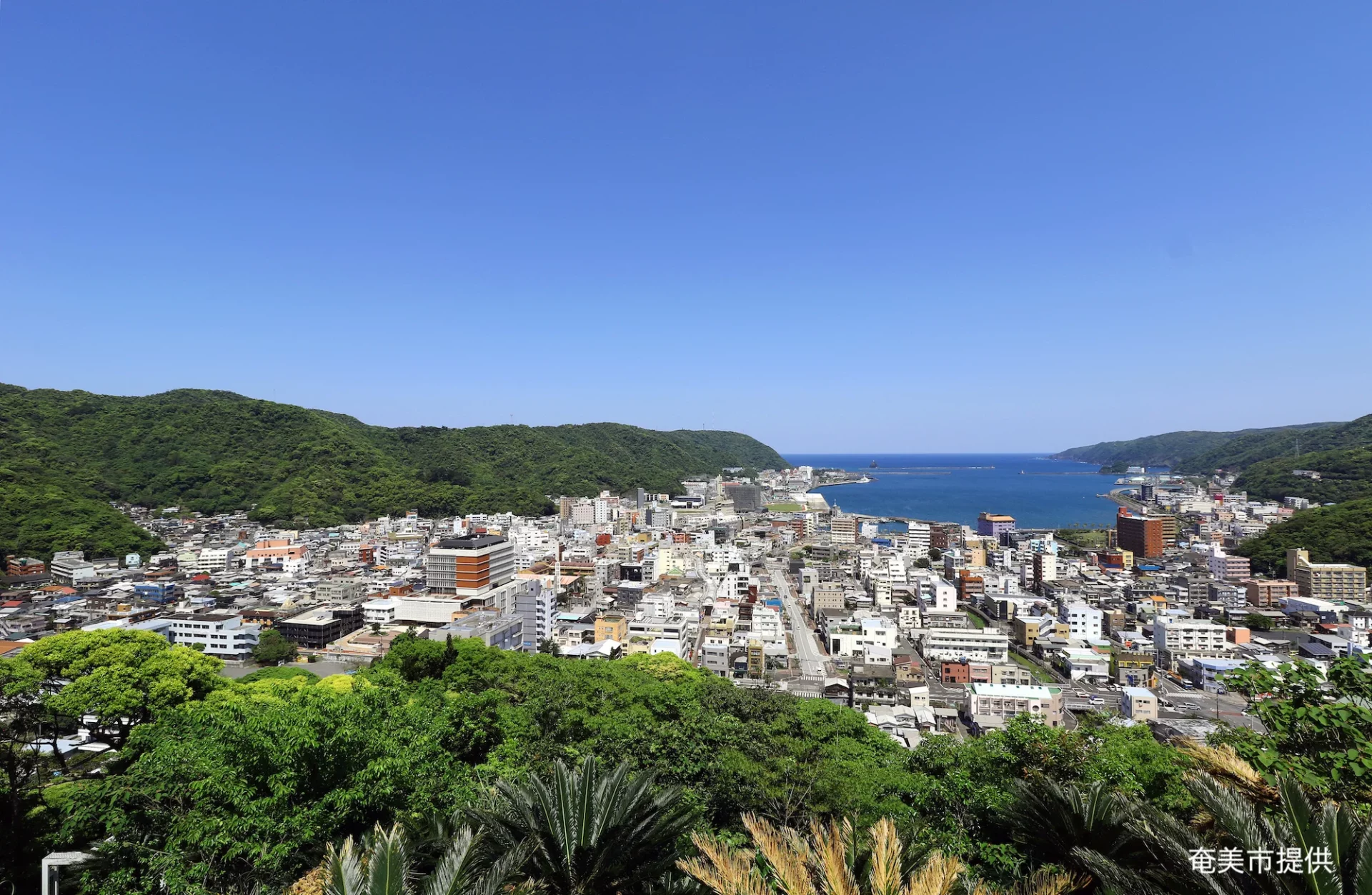 　【奄美市】定住促進住宅入居者募集 | 地域のトピックス