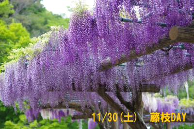 出張相談会　藤枝DAY | 移住関連イベント情報