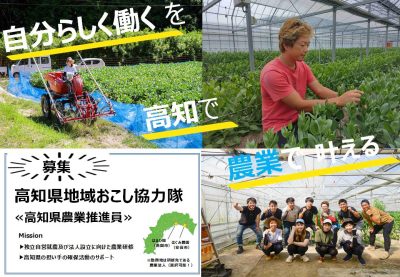 【高知県採用】≪高知県農業推進員を募集！!≫ミッションは独立に向けた農業研修と高知県の担い手確保活動のサポート！ | 地域のトピックス