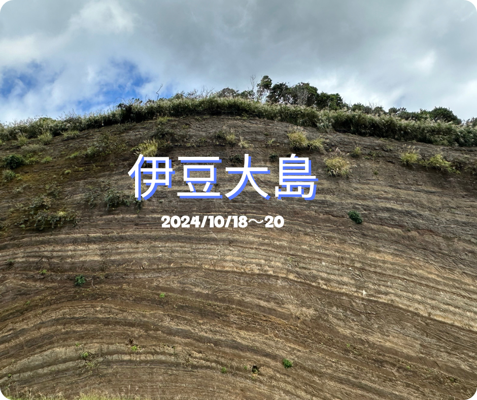 大島町「暮らし体験ツアー」へ行ってきました！ | 地域のトピックス