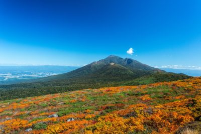 雫石町の紅葉スポットをご紹介♪ | 地域のトピックス