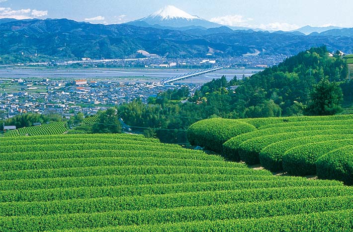 出張相談会「島田DAY」 | 移住関連イベント情報