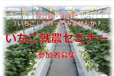 【佐賀県】伊万里・有田で「いちご」を作ってみませんか？ | 移住関連イベント情報