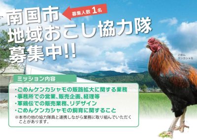 【南国市】『企業委託型』地域おこし協力隊募集！シャモの販路開拓・飼育してくれる方を募集します | 地域のトピックス