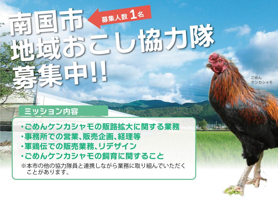 【南国市】『企業委託型』地域おこし協力隊募集！シャモの販路開拓・飼育してくれる方を募集します | 地域のトピックス