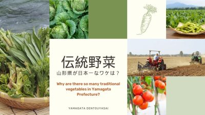 山形県の伝統野菜　実は日本一？！そのワケは… | 地域のトピックス