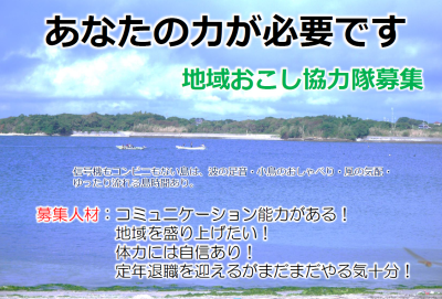 令和7年度 西尾市・佐久島「地域おこし協力隊」＆「おためし地域おこし協力隊」募集！（1/10締切） | 地域のトピックス