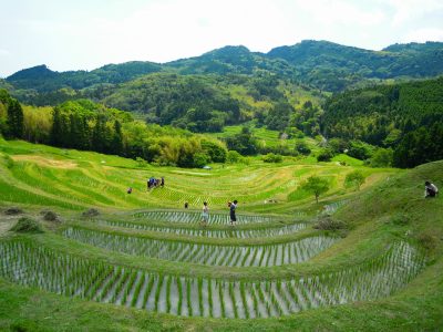 【鴨川市】さとやま帰農塾 〜農的くらし・はじめの一歩〜 | 移住関連イベント情報