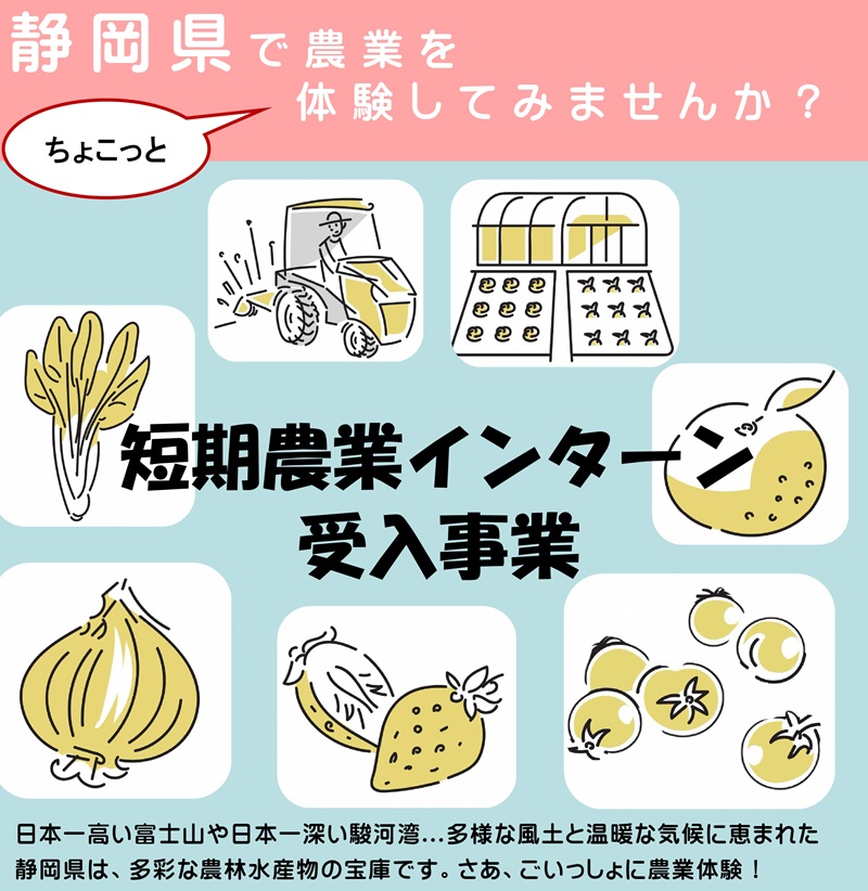 静岡県で農業を体験してみませんか？短期農業インターン受入事業研修生募集中！ | 移住関連イベント情報