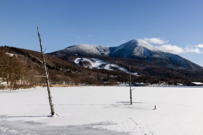 長野県立科町令和7年度職員募集！(試験日：令和7年1月18日)「総合能力試験（SPI3）」で試験を行います。 | 地域のトピックス