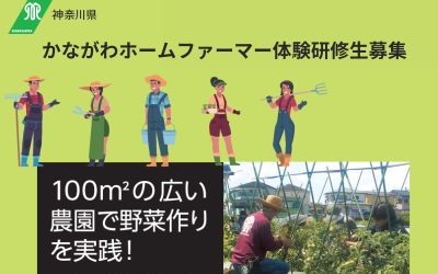 【農ある暮らし】「かながわホームファーマー」体験研修生募集！100㎡の広い農園で野菜作り。人生は農と共に。 | 地域のトピックス