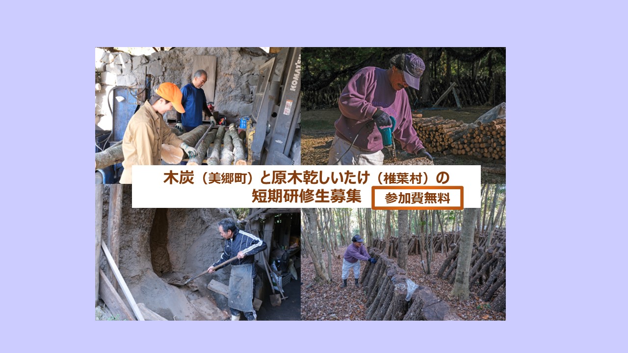 木炭 ＆ 原木しいたけ 短期研修生募集 【滞在費・旅費・研修中の補助金あり】 | 地域のトピックス