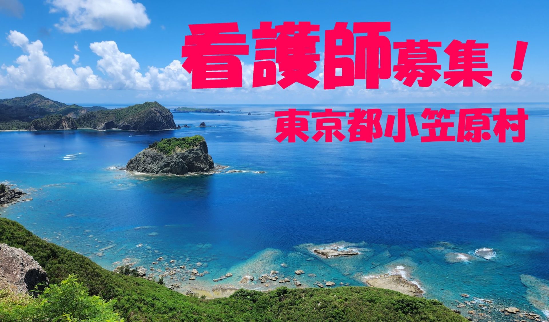 世界自然遺産の小笠原村で看護職員を募集します‼ | 地域のトピックス