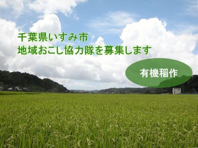 【いすみ市】地域おこし協力隊を募集します！（有機稲作） | 地域のトピックス