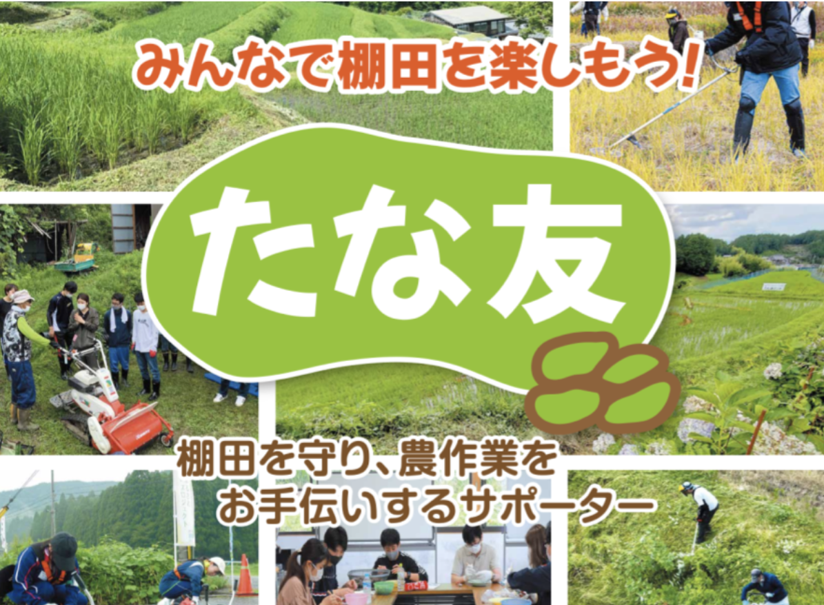 たな友募集中！～棚田を守り、農作業をお手伝いするサポーター～ | 地域のトピックス