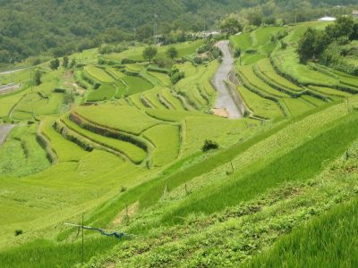 ＼小豆島町地域おこし協力隊を募集／ | 地域のトピックス