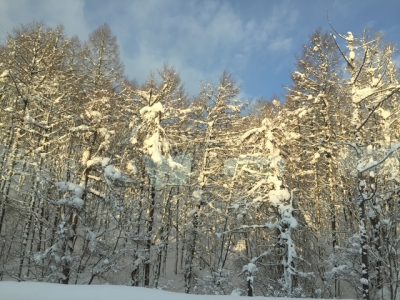 2/21（金）放送！「岩手 豪雪地帯のスーパーで」NHKドキュメント72時間 | 地域のトピックス