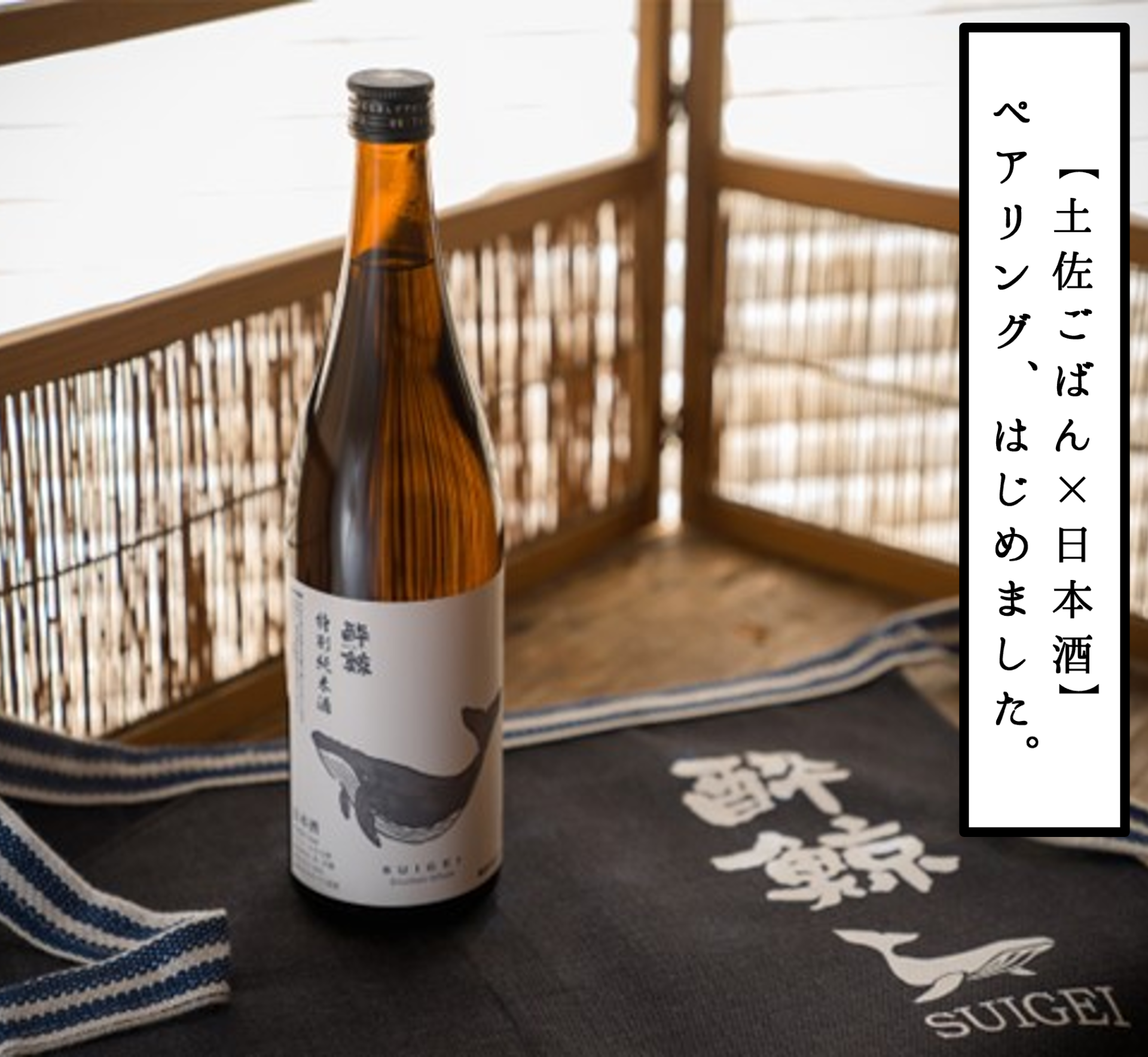 【高知市】土佐ごはん×日本酒ペアリング 『とさごはん 酔鯨亭』2025.02.26 New OPNE | 地域のトピックス