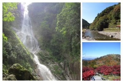 【奈良県上北山村】大自然に囲まれた「森と生き、星と眠る村 上北山村」で一緒に村おこしをする人を募集します！ | 地域のトピックス