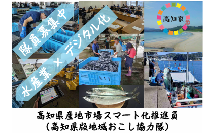 【高知県】水産業×デジタル化！高知県産地市場スマート化推進員募集中！！ | 地域のトピックス