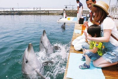 おおいた移住　わがまちこんなとこ（16）津久見市 | 地域のトピックス