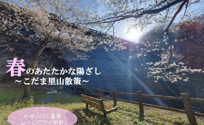 ＜本庄市＞春のあたたかな陽ざし～こだま里山散策～ | 地域のトピックス