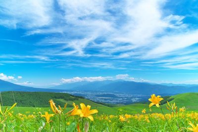 5月の長野県とつながる大相談会 | 移住関連イベント情報