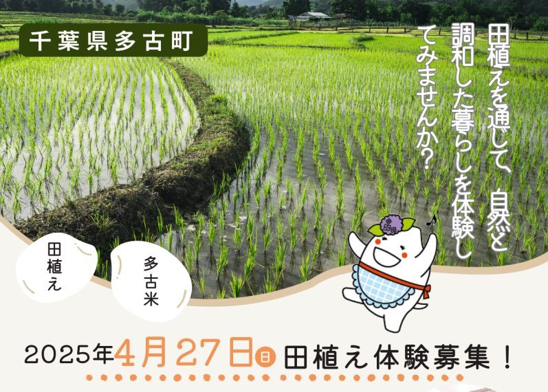 ＜食の宝庫＞千葉県多古町で田植え体験 | 移住関連イベント情報